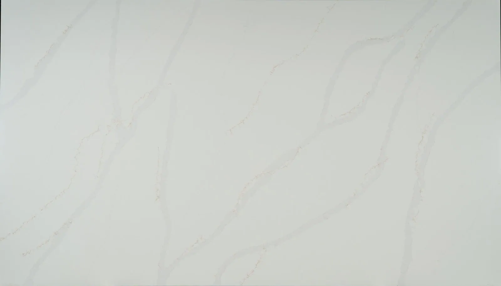 Calacatta Gold, Full slab