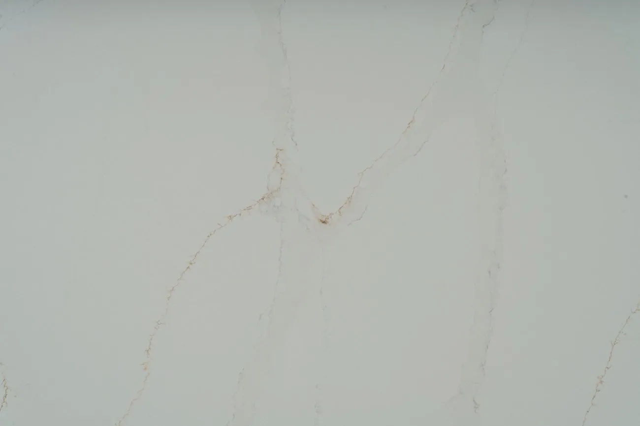 Calacatta Elite, Close-up 1