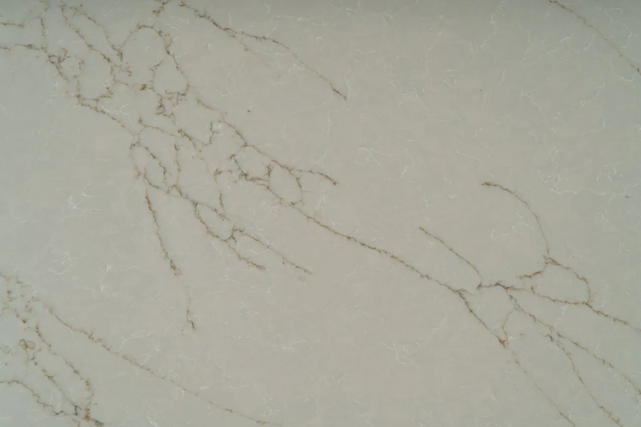 Calacatta Noir Gold, Close-up 1