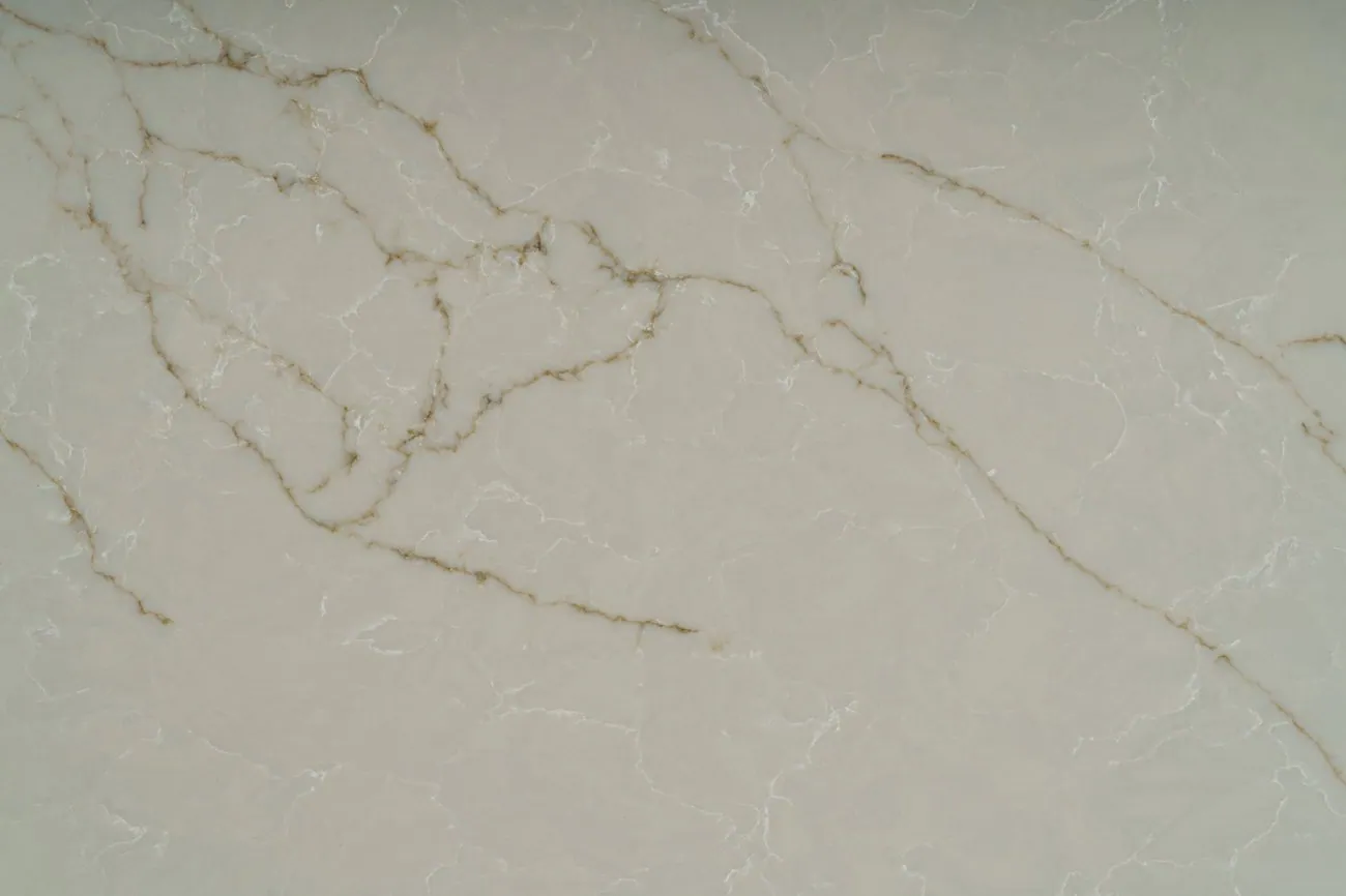 Calacatta Noir Gold, Close-up 2