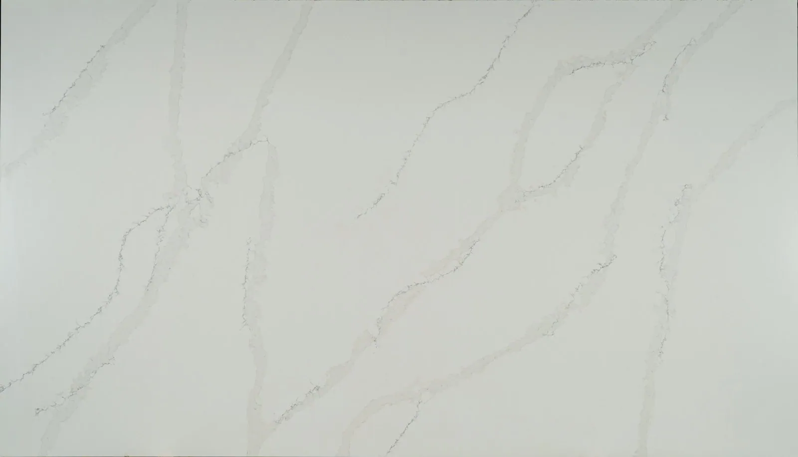 Calacatta Pearl