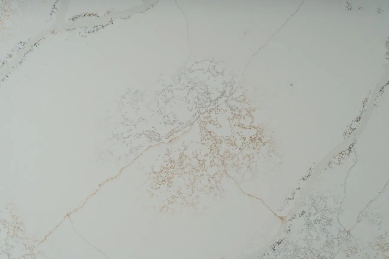 Calacatta Riviera, Close-up 1